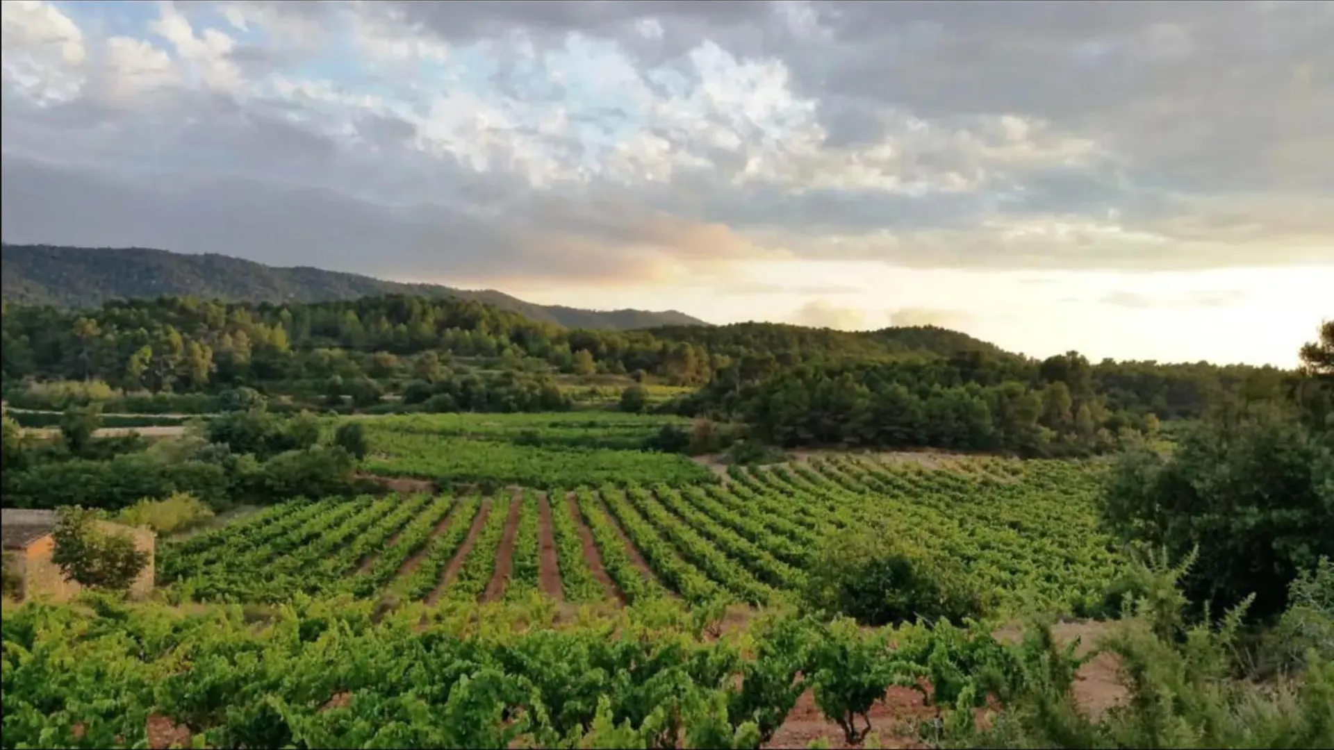 Les Voltes III - Stunning 5Bd Home With Panoramic Views In Hilltop Wine Village Barbara Spain